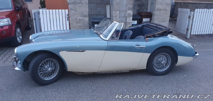 Austin Healey 3000 1961
