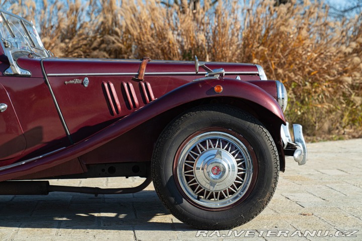 Fiat 1100 1100103 SPIDER MANTELLI 1954