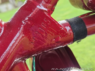 Ostatní značky Ostatní modely Indian Scout (5) 1926