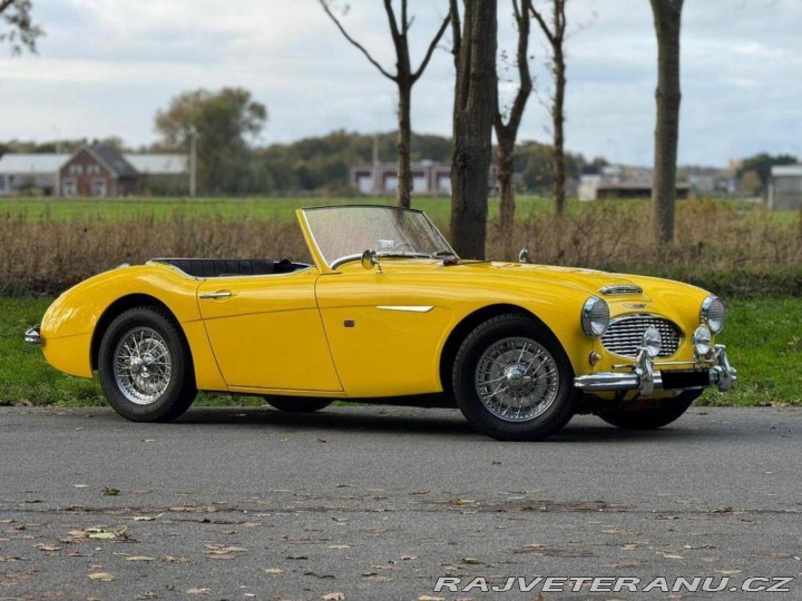 Austin Healey 100 6 1957