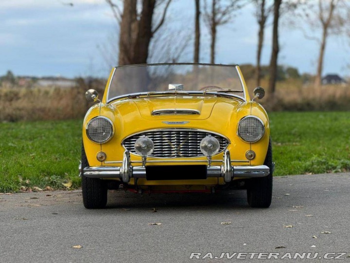 Austin Healey 100 6 1957