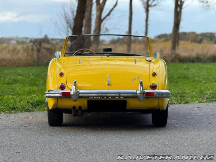Austin Healey 100 6 1957