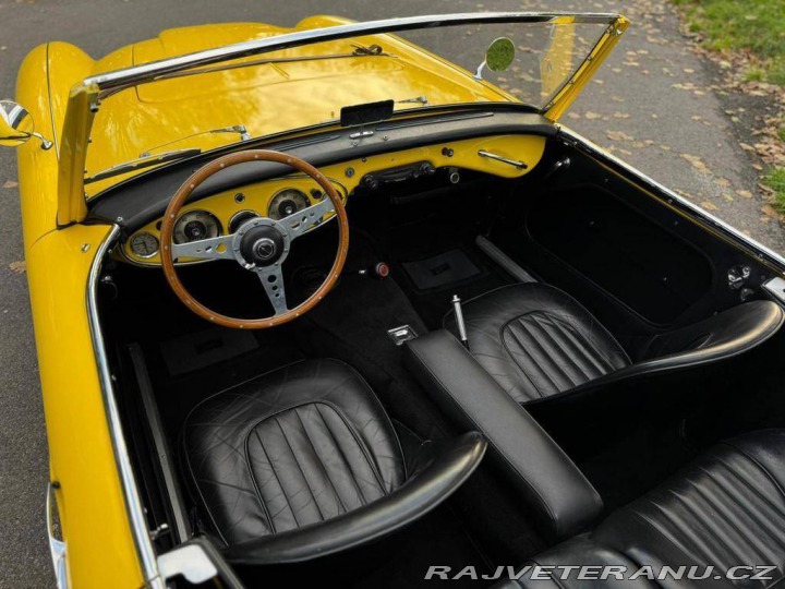 Austin Healey 100 6 1957