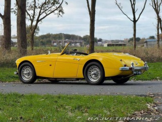 Austin Healey 100 6 1957