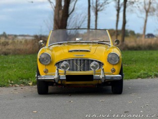 Austin Healey 100 6 1957