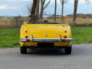 Austin Healey 100 6 1957