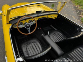 Austin Healey 100 6 1957