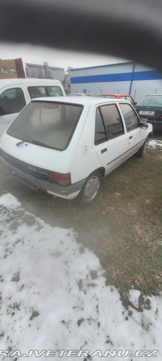 Peugeot 205  1989