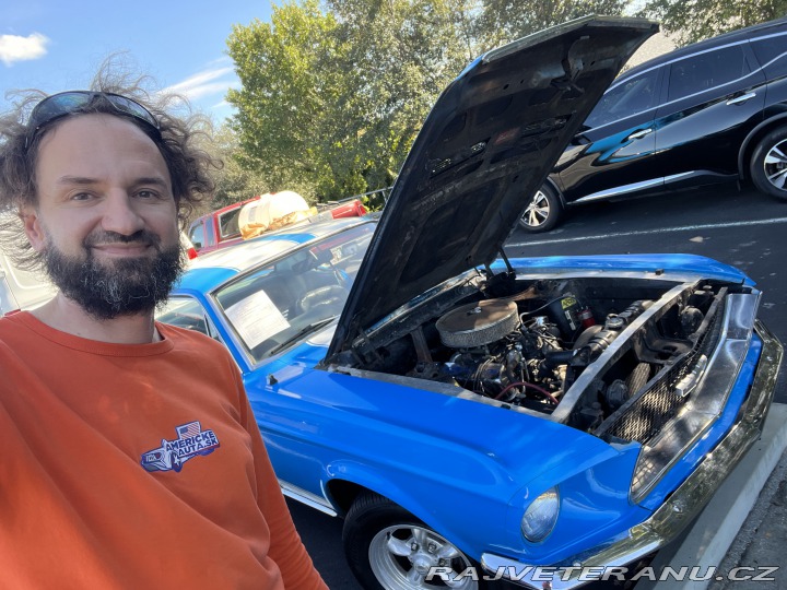 Ford Mustang GT manual V8 1967