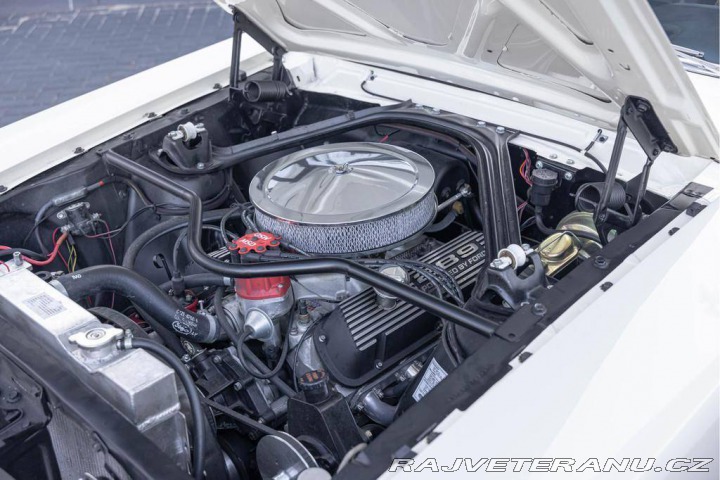 Ford Mustang Fastback 289 1965