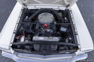 Ford Mustang Fastback 289 1965