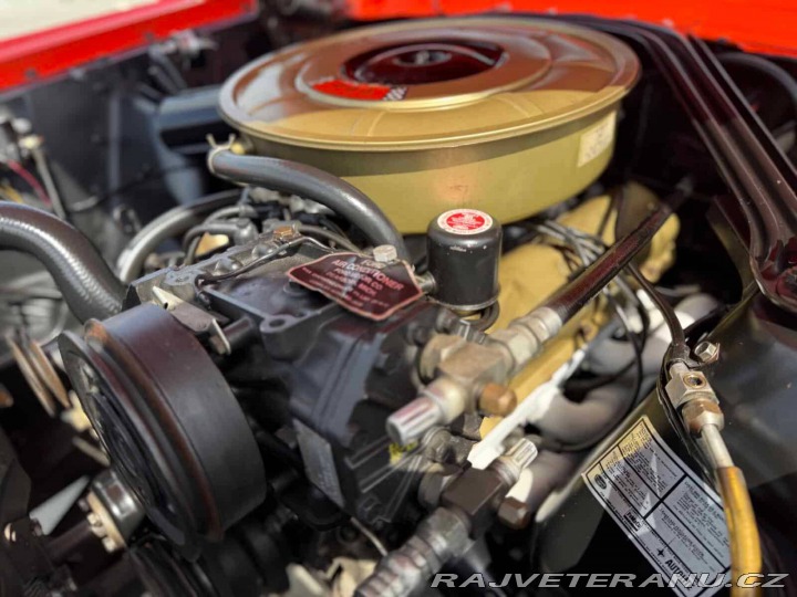 Ford Mustang Fastback 4.7 V8 2+2 1965