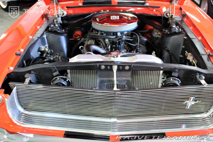 Ford Mustang Fastback V8 /  V ČR!! 1967