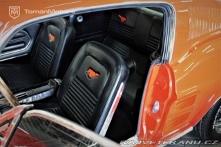 Ford Mustang Fastback V8 /  V ČR!! 1967