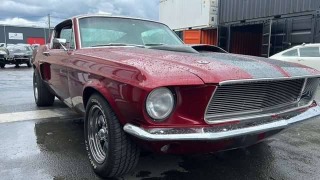 Ford Mustang Fastback V8 1968