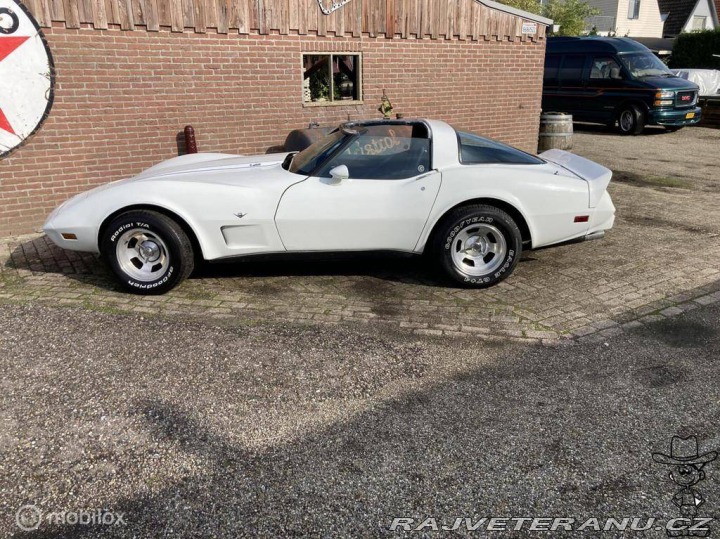 Chevrolet Corvette C3 V8 Targa 1979