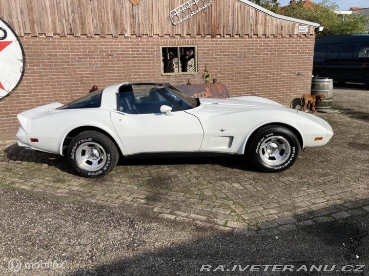 Chevrolet Corvette C3 V8 Targa 1979
