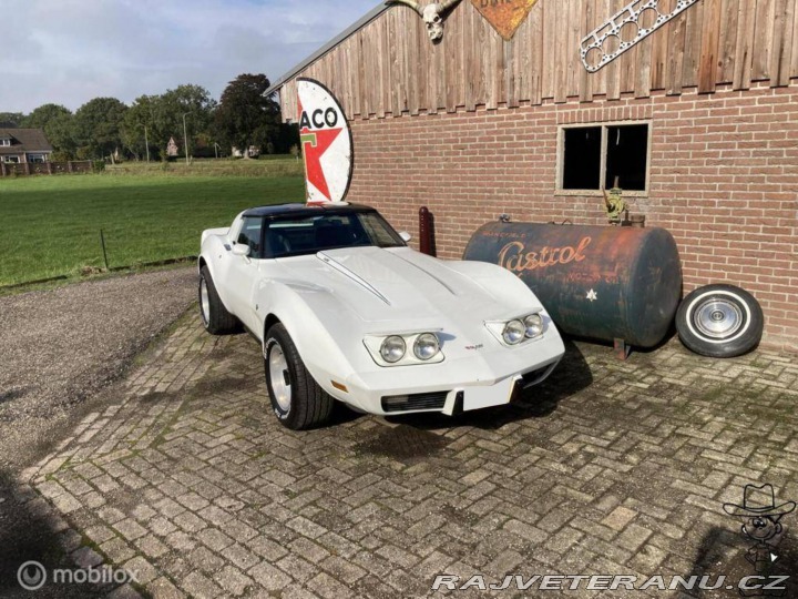 Chevrolet Corvette C3 V8 Targa 1979