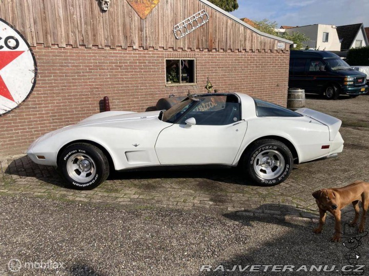 Chevrolet Corvette C3 V8 Targa 1979