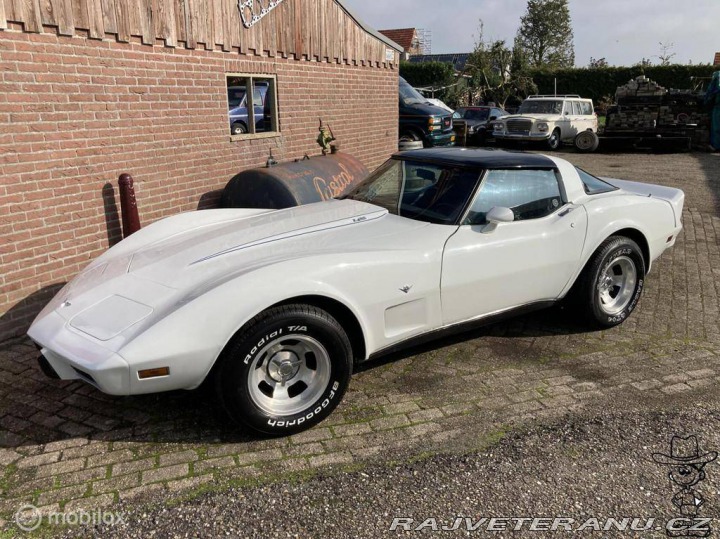 Chevrolet Corvette C3 V8 Targa 1979