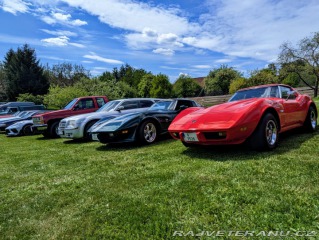 Chevrolet Corvette C3 Stingray 1975
