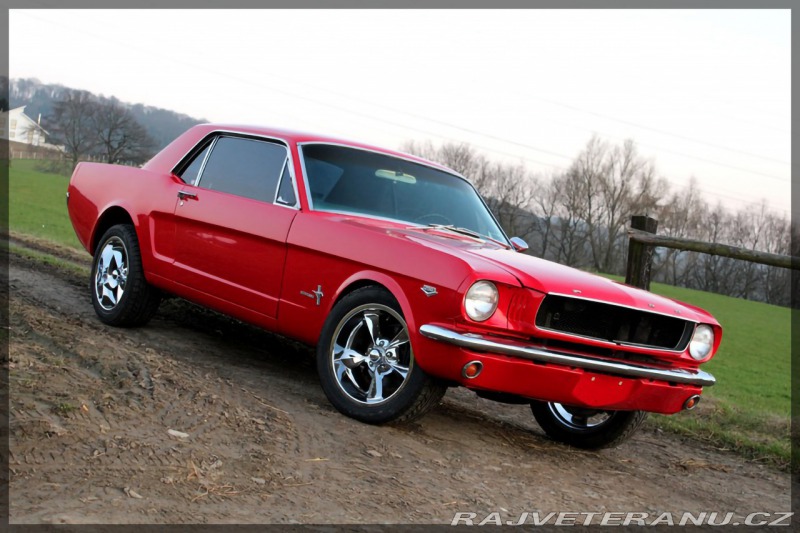 Ford Mustang 302