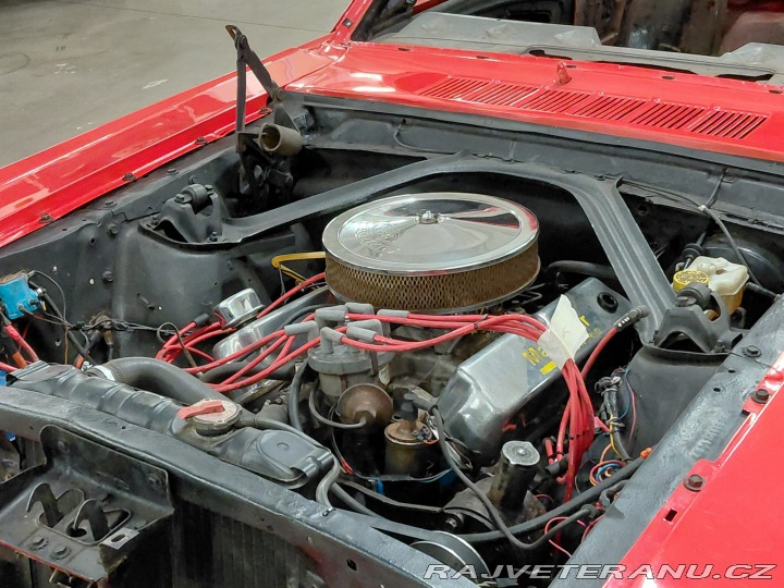 Ford Mustang 302 1966