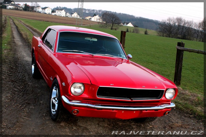 Ford Mustang 302 1966