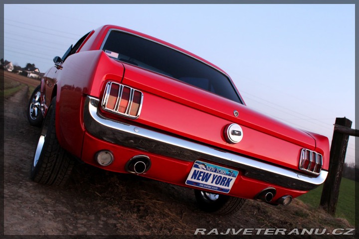 Ford Mustang 302 1966