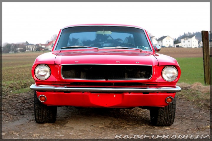 Ford Mustang 302 1966