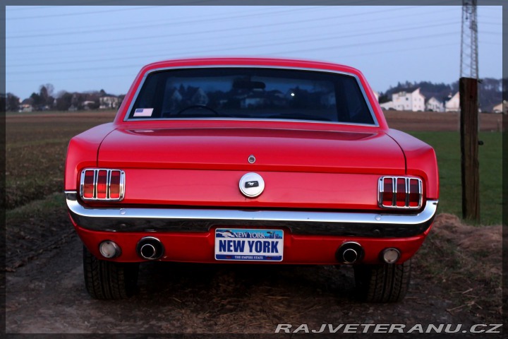 Ford Mustang 302 1966