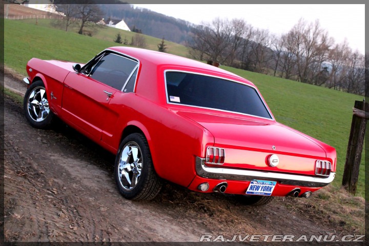 Ford Mustang 302 1966