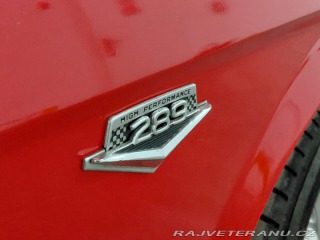 Ford Mustang 302 1966