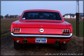 Ford Mustang 302 1966