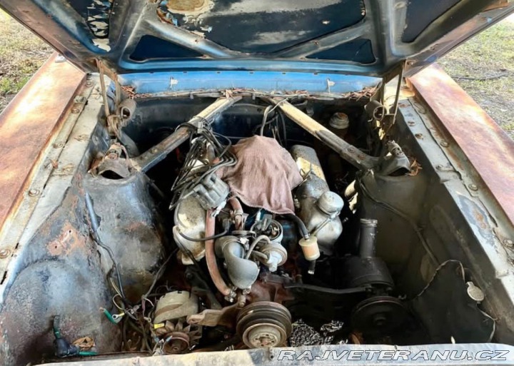 Ford Mustang Fastback 1966