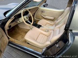 Chevrolet Corvette . 1979