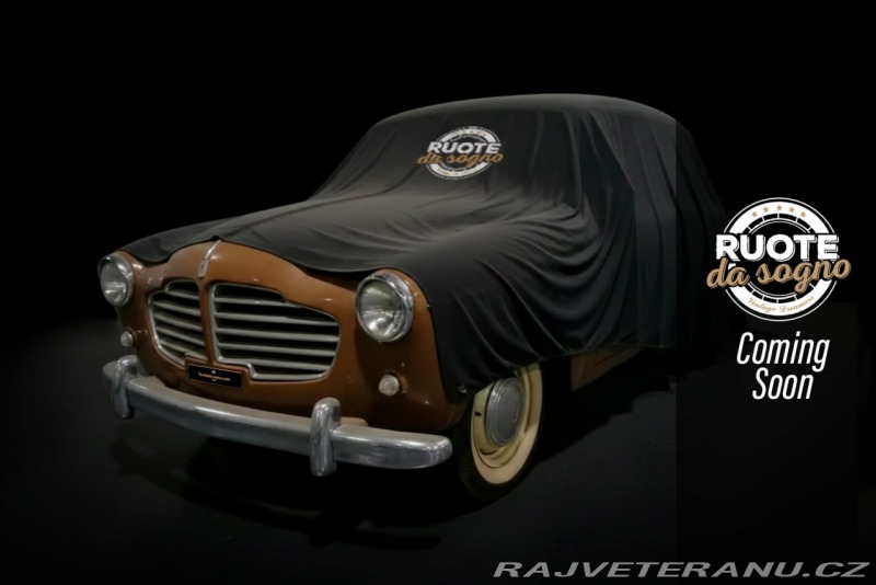 Fiat 1100 VIOTTI GIARDINETTA