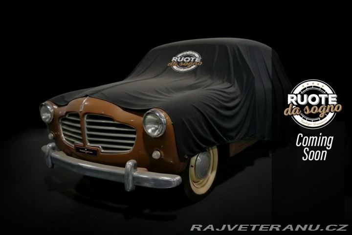 Fiat 1100 VIOTTI GIARDINETTA 1954