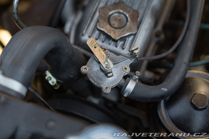 Fiat 1100 VIOTTI GIARDINETTA 1954