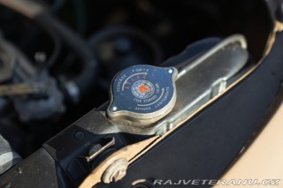 Fiat 1100 VIOTTI GIARDINETTA 1954