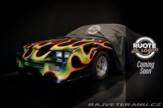 Chevrolet Camaro III Z28 RS 5.0 V8 1992