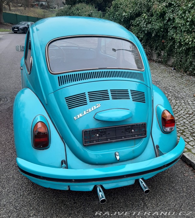 Volkswagen Brouk 1302 1971