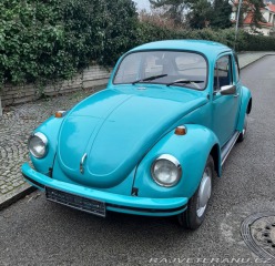 Volkswagen Brouk 1302 1971