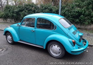 Volkswagen Brouk 1302 1971