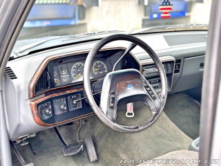 Ford F 150 5.0 V8 | SuperCab 1991
