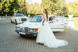 Mercedes-Benz S W116 280 S 1975