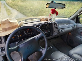 Chevrolet C/K C1500 Silverado 1995