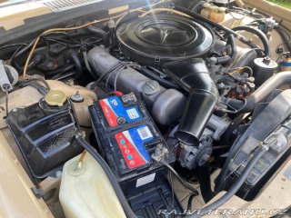 Mercedes-Benz 450 116 SE 1973