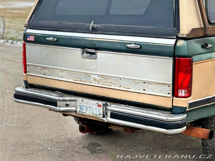 Ford F 250 7.5 V8 4X4 | XLT 1985