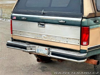 Ford F 250 7.5 V8 4X4 | XLT 1985